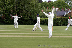 ecc v dv