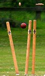Wickets